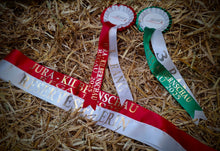 Lade das Bild in den Galerie-Viewer, Jura Bio-Zucht Lämmer